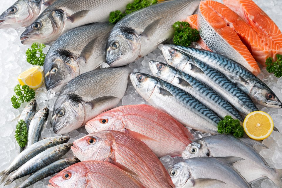 Selection of fresh fish on ice