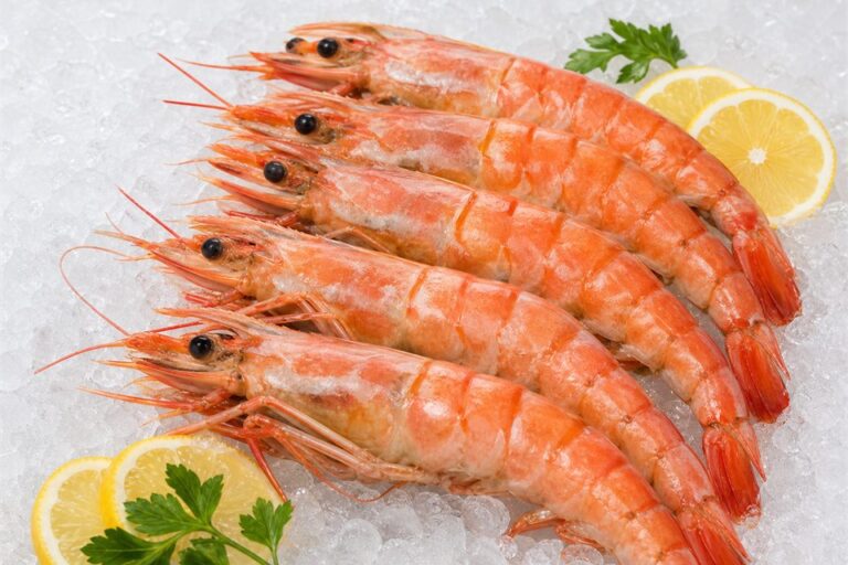 King Prawns — fresh seafood
