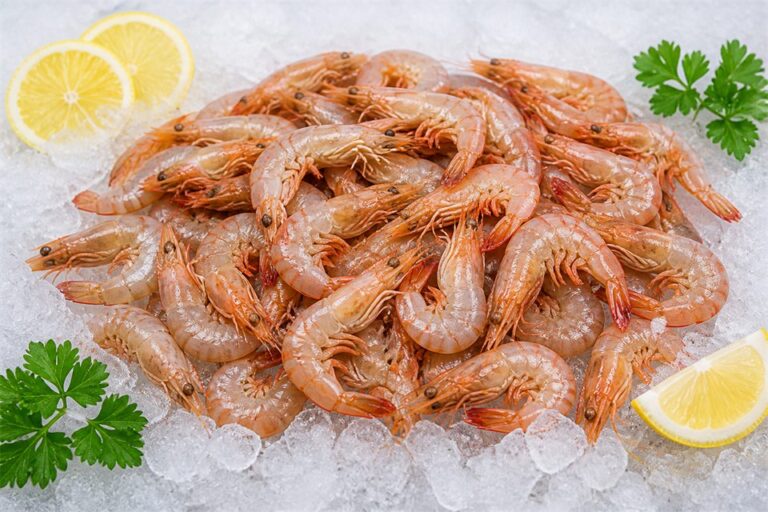 Prawns — fresh seafood