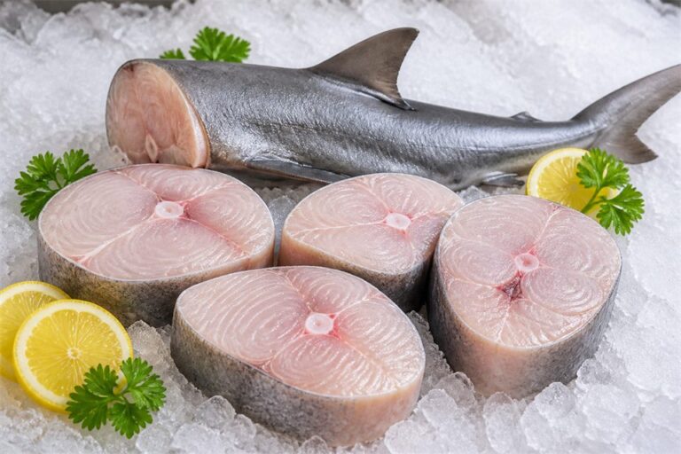 Shark — fresh seafood
